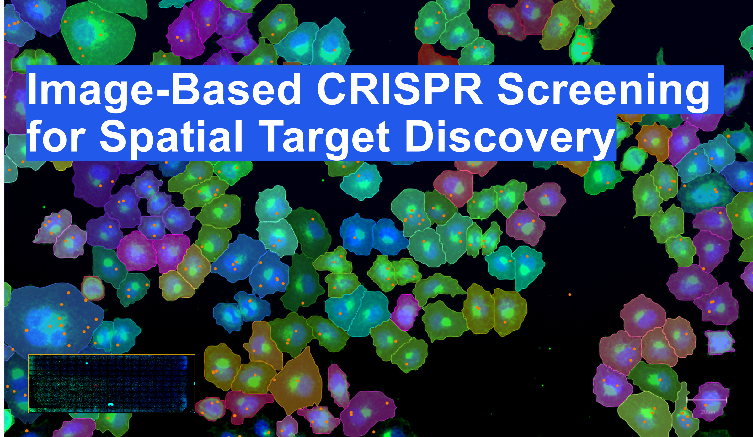 Element Biosciences and Myllia Biotechnology Demonstrate Successful Multimodal Optical Pooled Screening for Drug Discovery